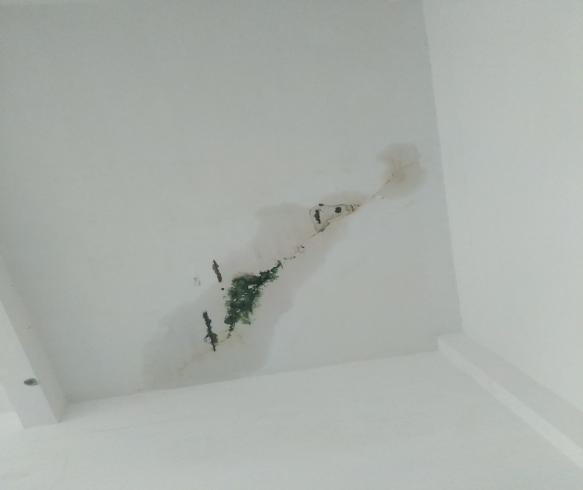 圖片5.png