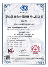 職業健康管理體係（中文版）